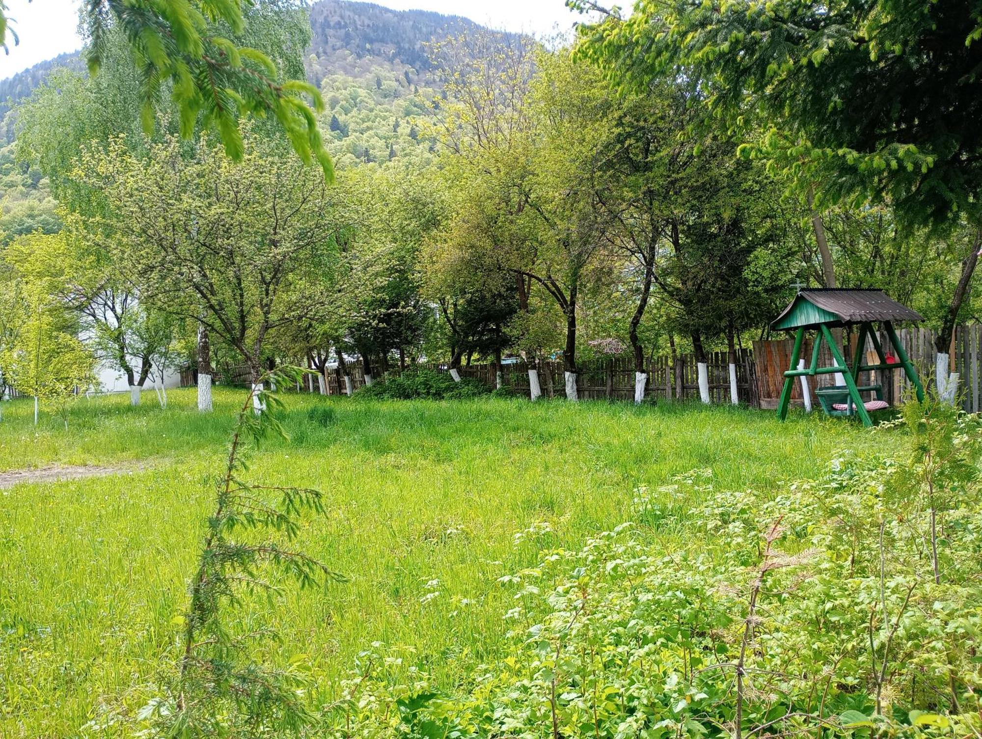 Pensiunea Irina 1 Si 2 Zărneşti المظهر الخارجي الصورة