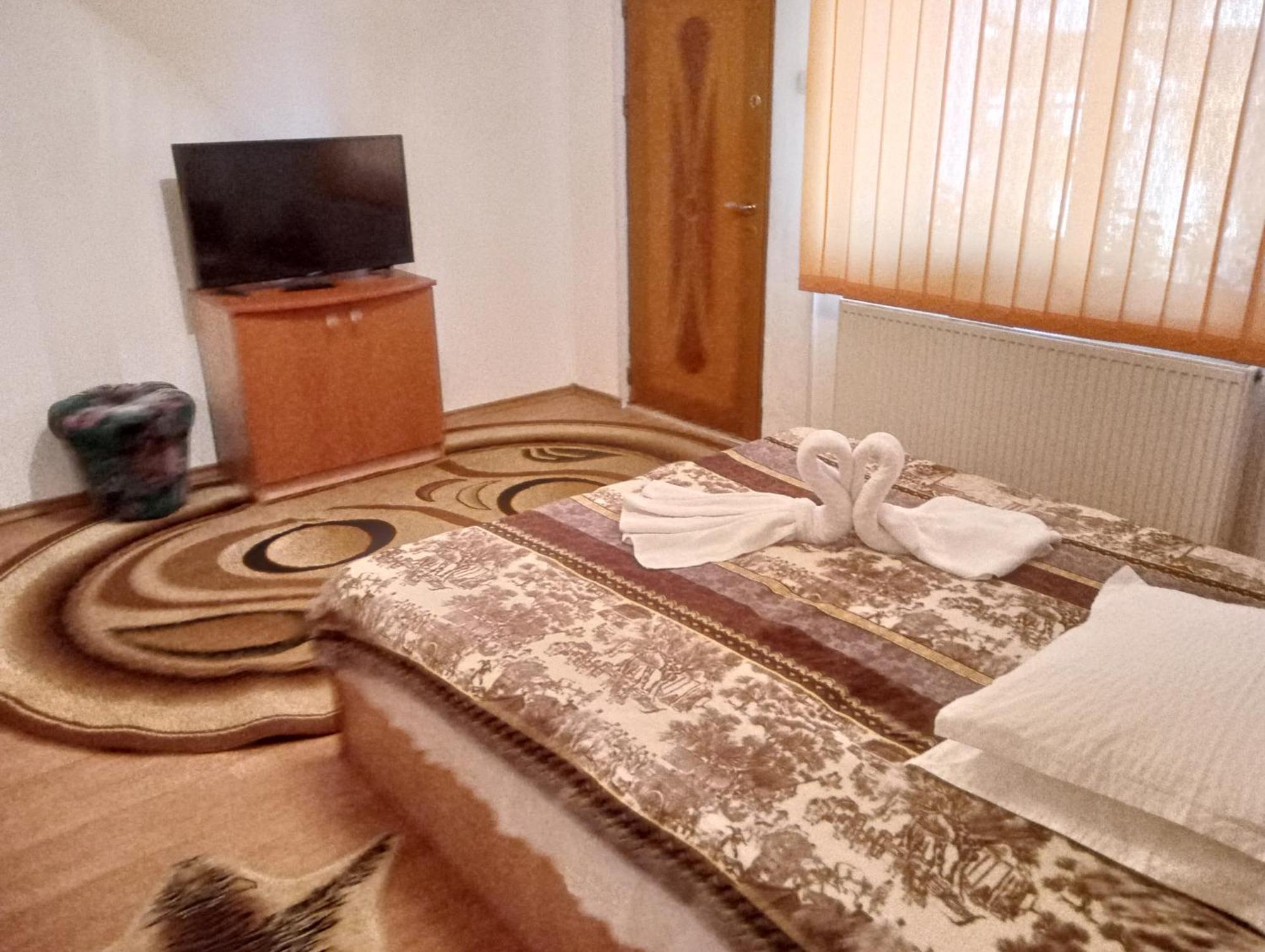 Pensiunea Irina 1 Si 2 Zărneşti المظهر الخارجي الصورة