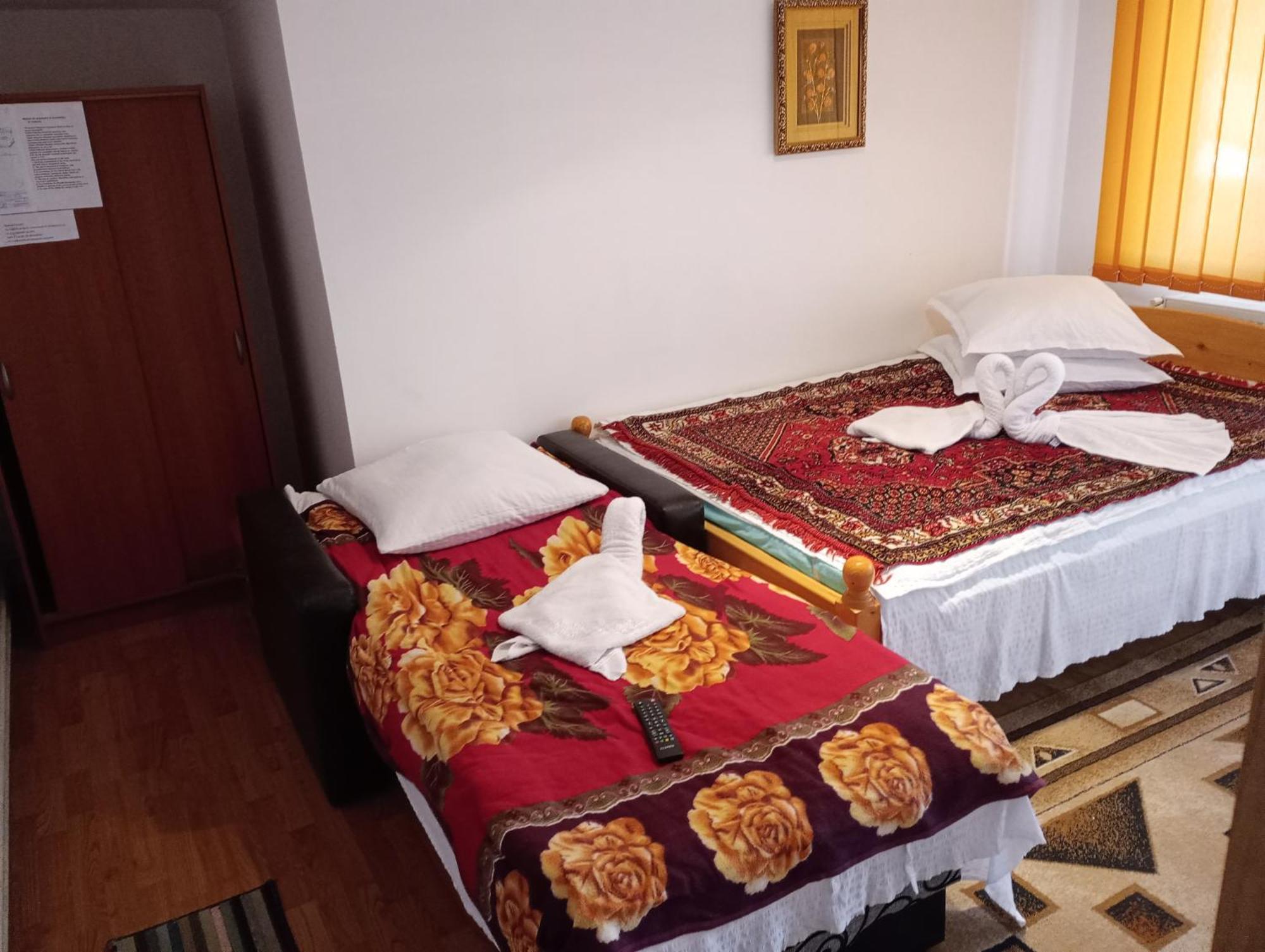Pensiunea Irina 1 Si 2 Zărneşti المظهر الخارجي الصورة