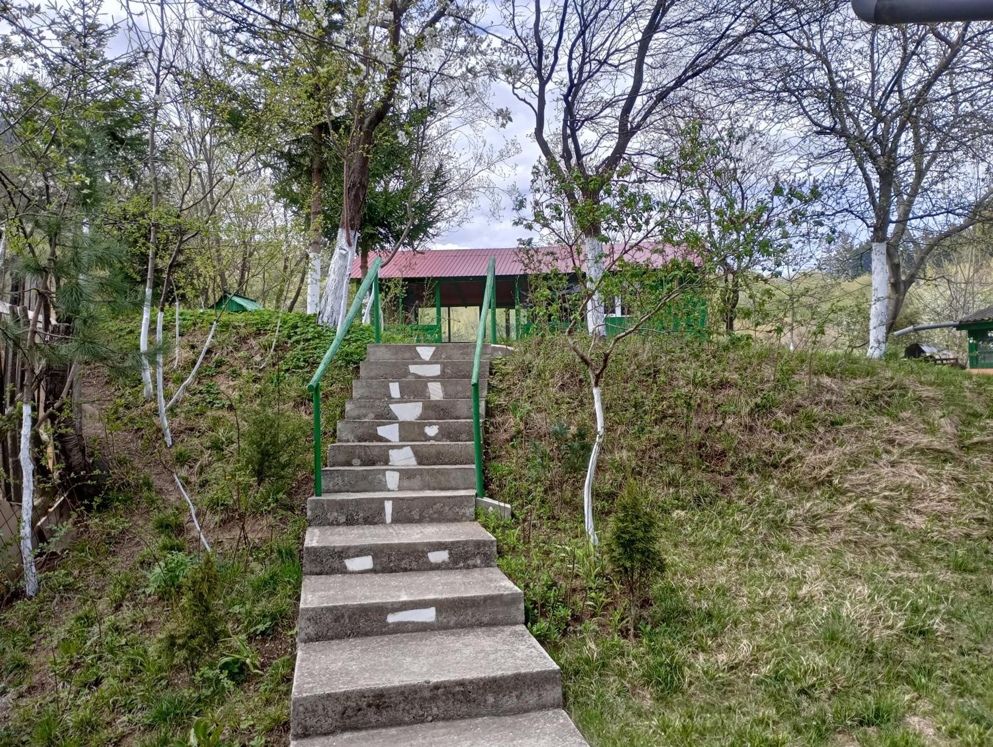 Pensiunea Irina 1 Si 2 Zărneşti المظهر الخارجي الصورة