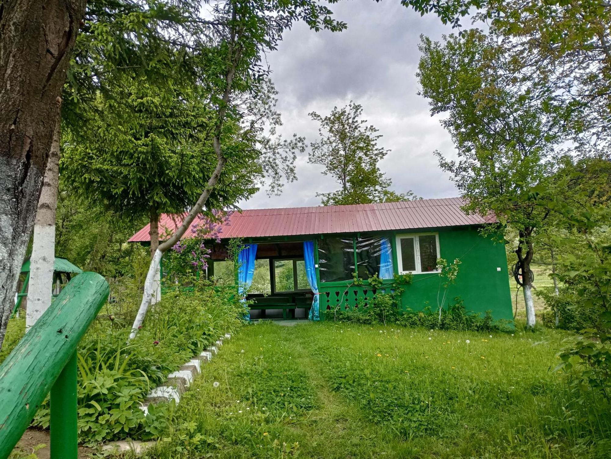 Pensiunea Irina 1 Si 2 Zărneşti المظهر الخارجي الصورة