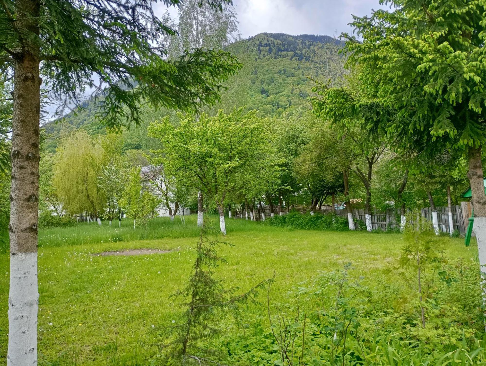 Pensiunea Irina 1 Si 2 Zărneşti المظهر الخارجي الصورة